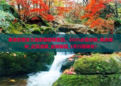 果洛到西安大唐芙蓉园哪里玩 果洛到西安大唐芙蓉园哪里玩