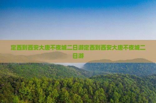 定西到西安大唐不夜城二日游