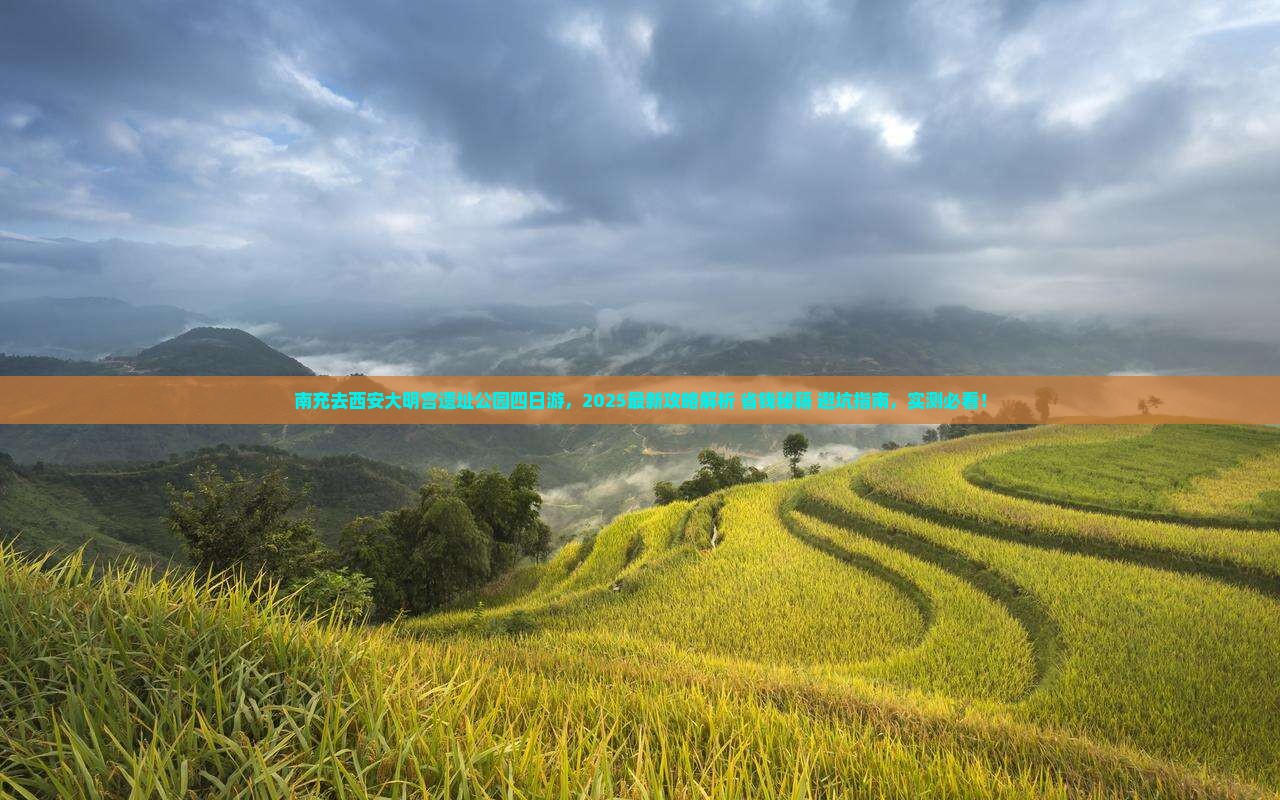 南充去西安大明宫国家遗址公园四日游