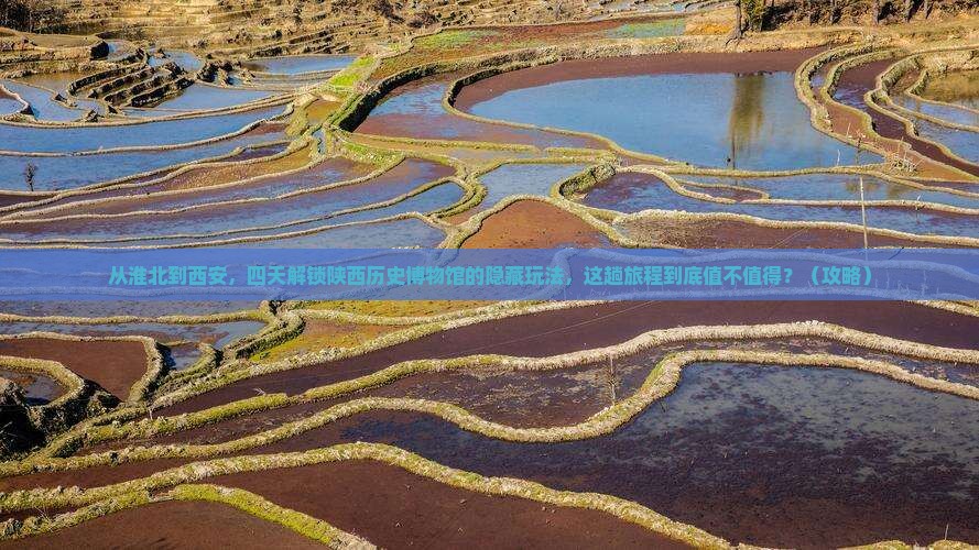 淮北到西安陕西历史博物馆四日游