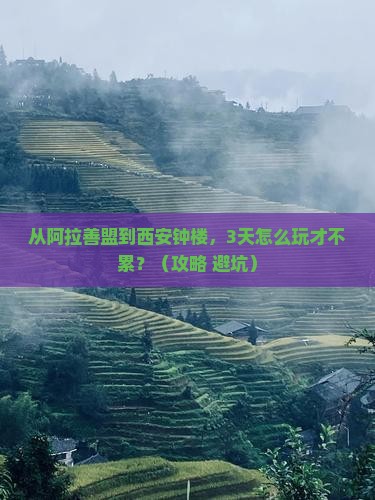 阿拉善盟到西安钟楼个人游
