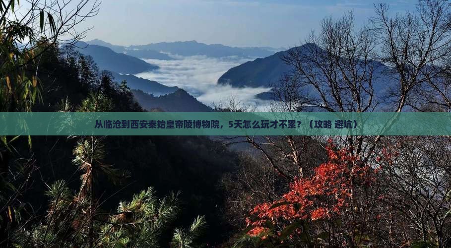 临沧去西安秦始皇帝陵博物院自由行