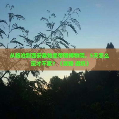 临沧去西安秦始皇帝陵博物院自由行