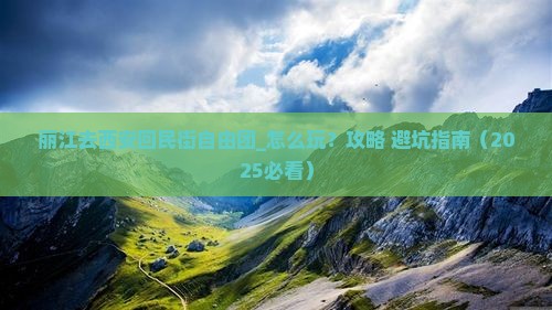 丽江去西安回民街自由团