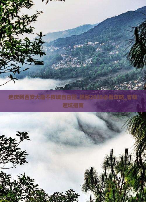 迪庆到西安大唐不夜城自由团