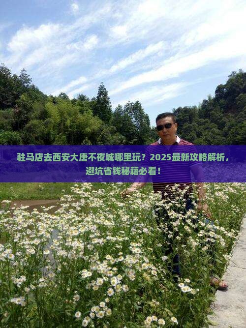 驻马店去西安大唐不夜城哪里玩
