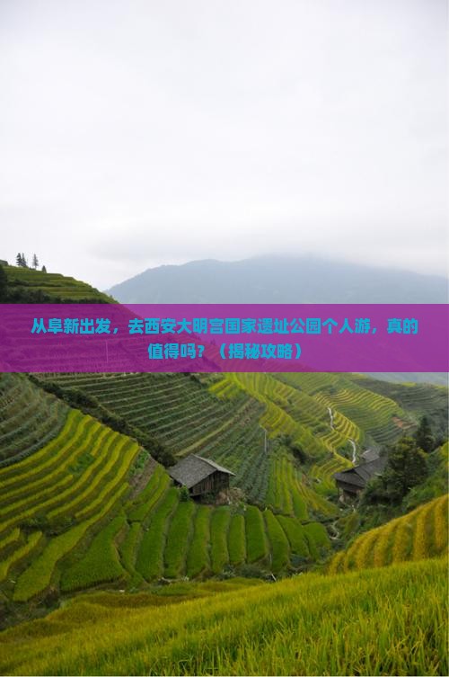 阜新去西安大明宫国家遗址公园个人游