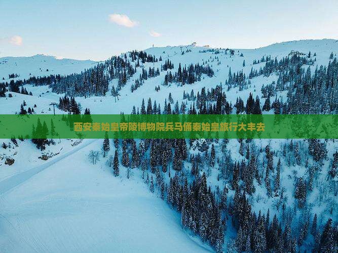 大丰去西安秦始皇帝陵博物院旅行社