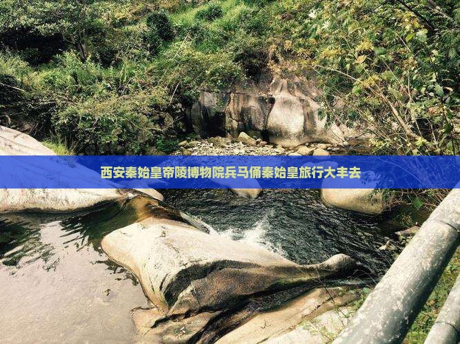 大丰去西安秦始皇帝陵博物院旅行社