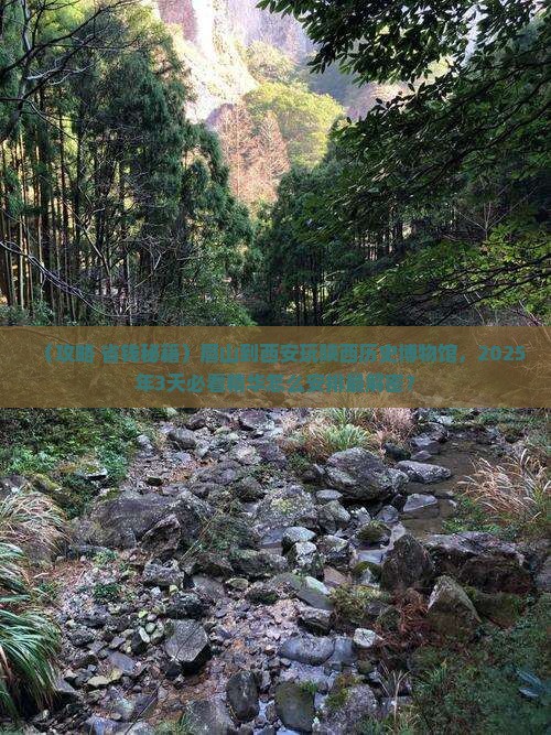 眉山到西安陕西历史博物馆哪里玩