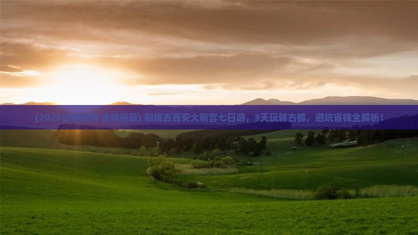 桐城去西安大明宫国家遗址公园七日游
