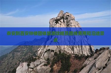 泰安到西安钟楼团体旅游