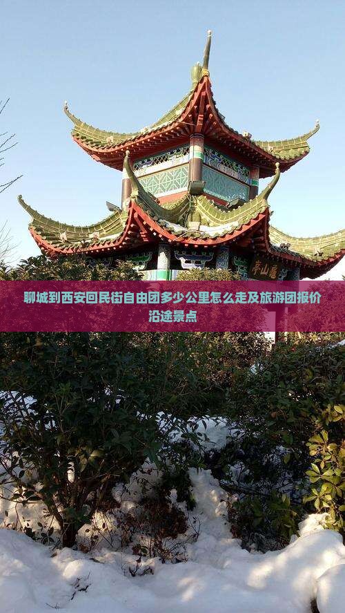 聊城到西安回民街自由团