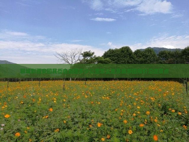 聊城到西安回民街自由团
