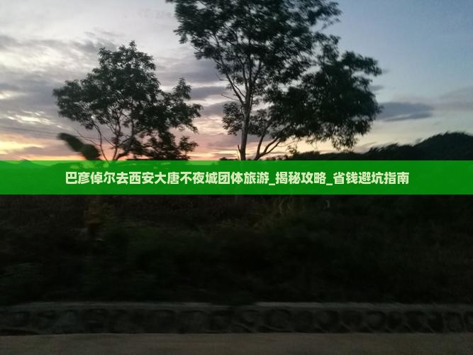 巴彦倬尔去西安大唐不夜城团体旅游