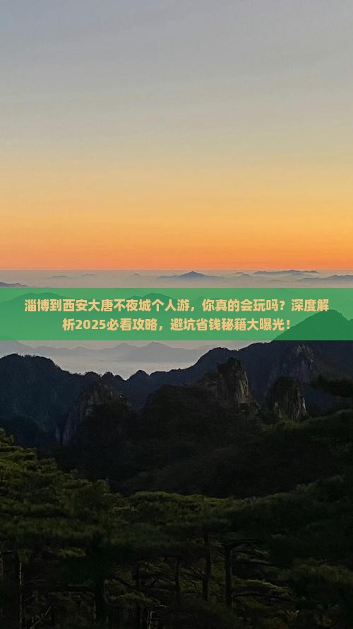 淄博到西安大唐不夜城个人游