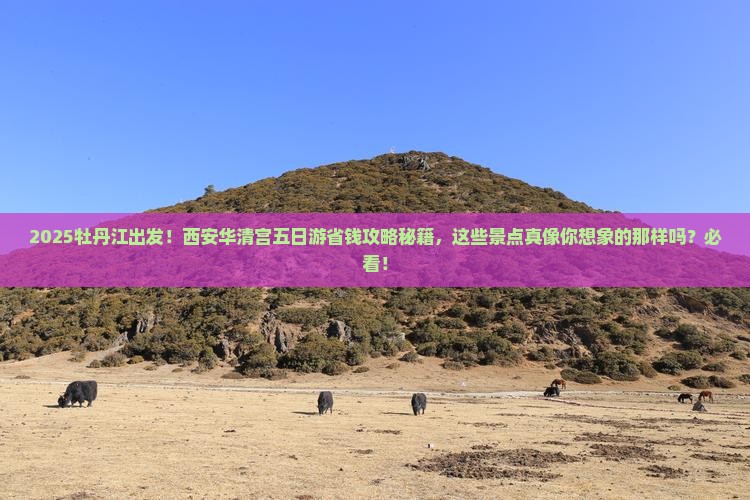 牡丹江到西安华清宫五日游