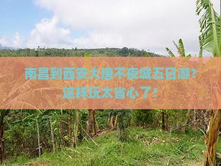 南昌到西安大唐不夜城五日游