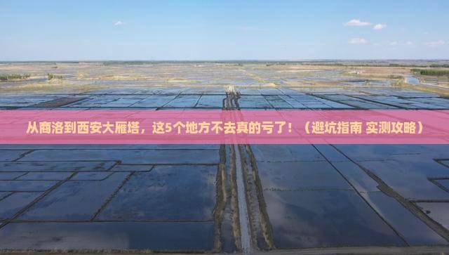 商洛去西安大雁塔必去地
