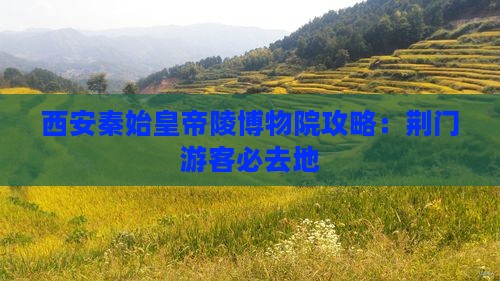 荆门去西安秦始皇帝陵博物院必去地