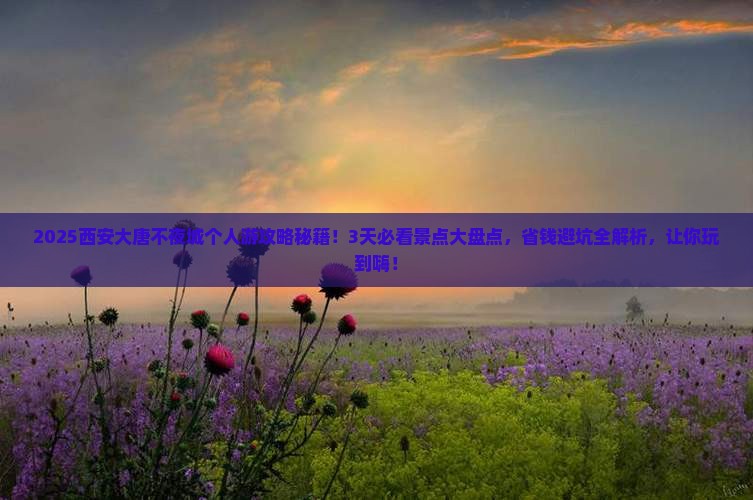 舟山去西安大唐不夜城个人游