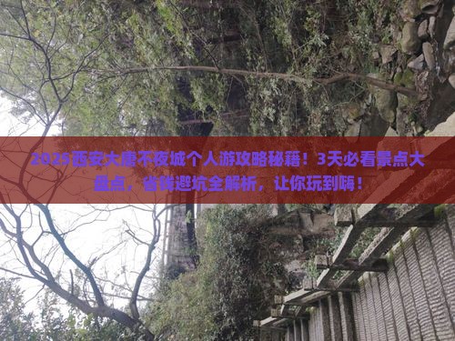 舟山去西安大唐不夜城个人游