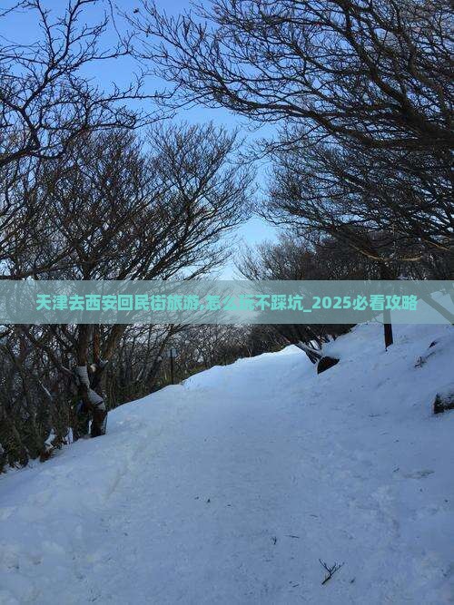 天津去西安回民街旅游