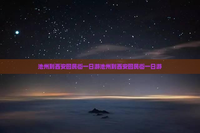 池州到西安回民街一日游