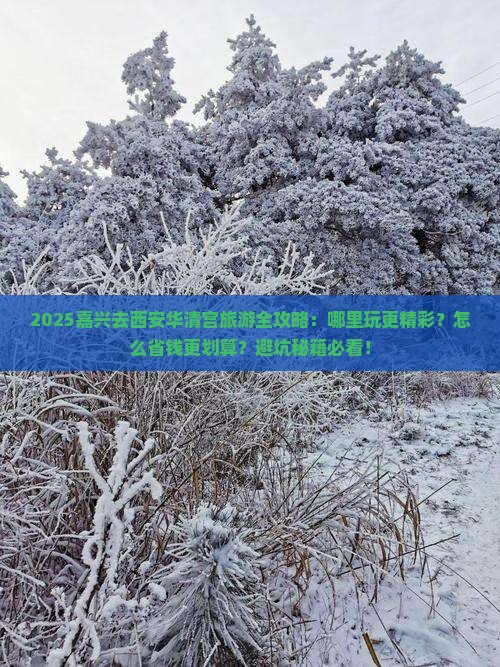 嘉兴去西安华清宫哪里玩