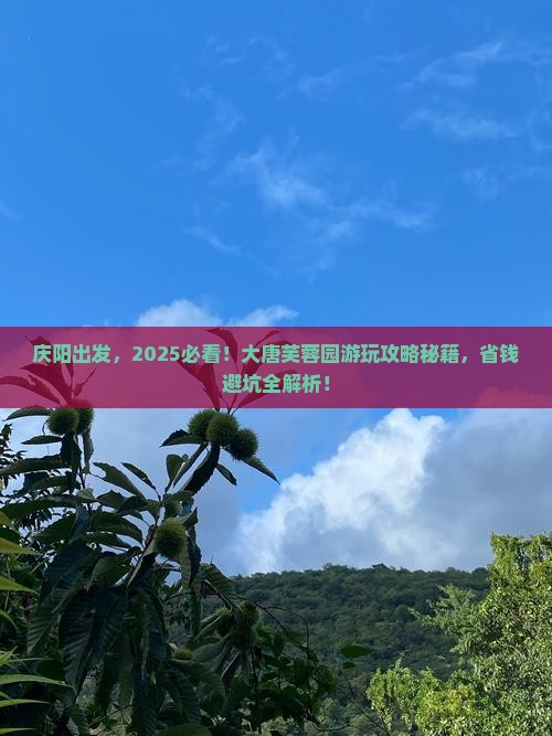 庆阳到西安大唐芙蓉园景点