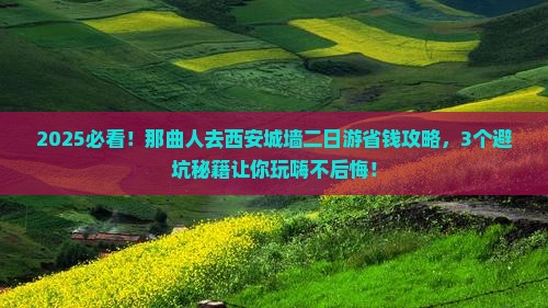 那曲去西安城墙二日游