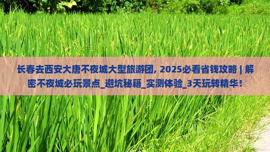 长春去西安大唐不夜城大型旅游团