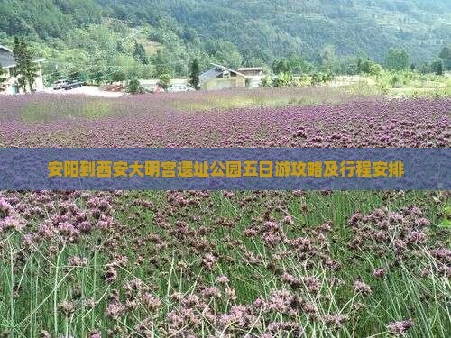 安阳到西安大明宫国家遗址公园五日游