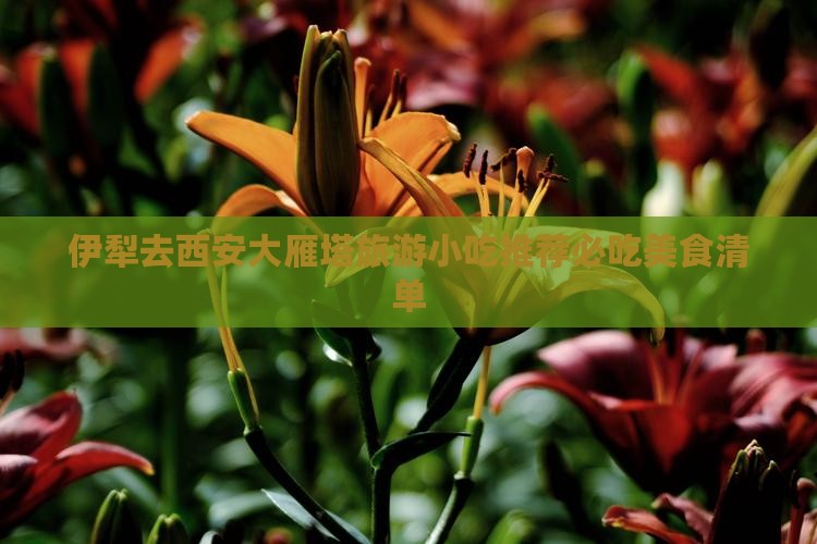 伊犁去西安大雁塔旅游小吃