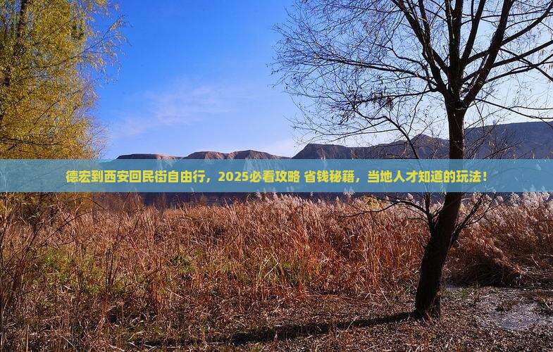 德宏到西安回民街自由团