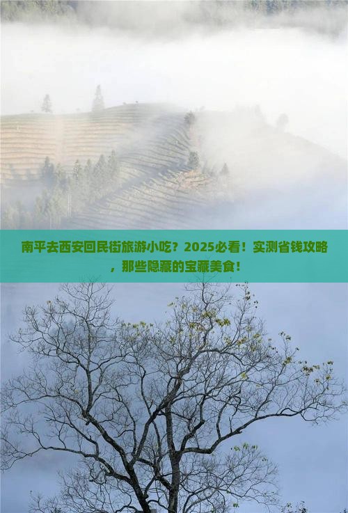 南平去西安回民街旅游小吃