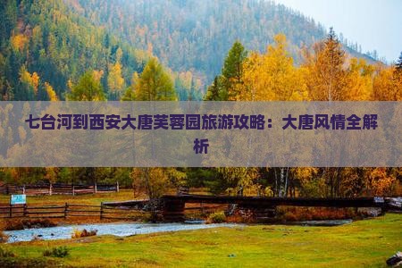 七台河到西安大唐芙蓉园哪里玩