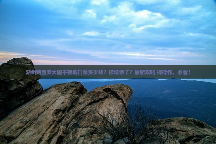湖州到西安大唐不夜城门票