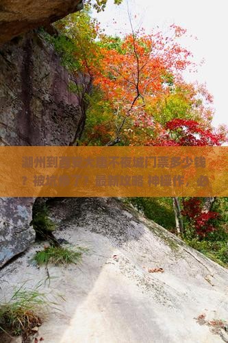 湖州到西安大唐不夜城门票