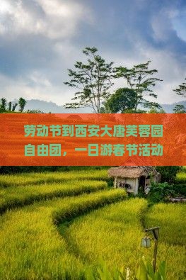 劳动节到西安大唐芙蓉园自由团