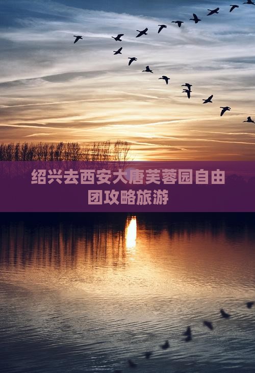 绍兴去西安大唐芙蓉园自由团