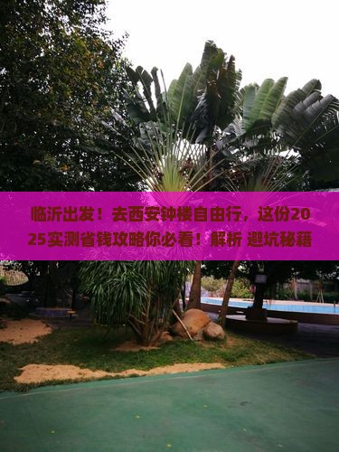 临沂到西安钟楼自由行