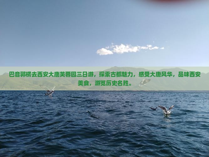 巴音郭楞去西安大唐芙蓉园三日游