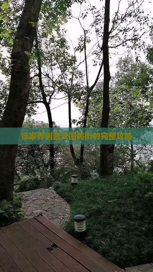 张家界到西安回民街攻略