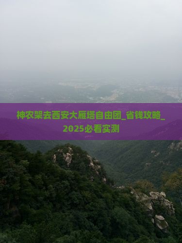 神农架去西安大雁塔自由团