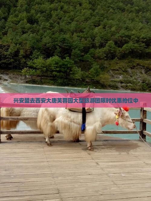 兴安盟去西安大唐芙蓉园大型旅游团