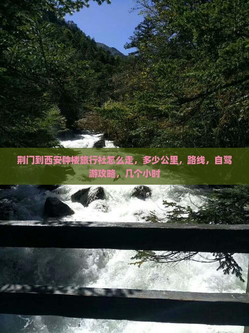 荆门到西安钟楼旅行社