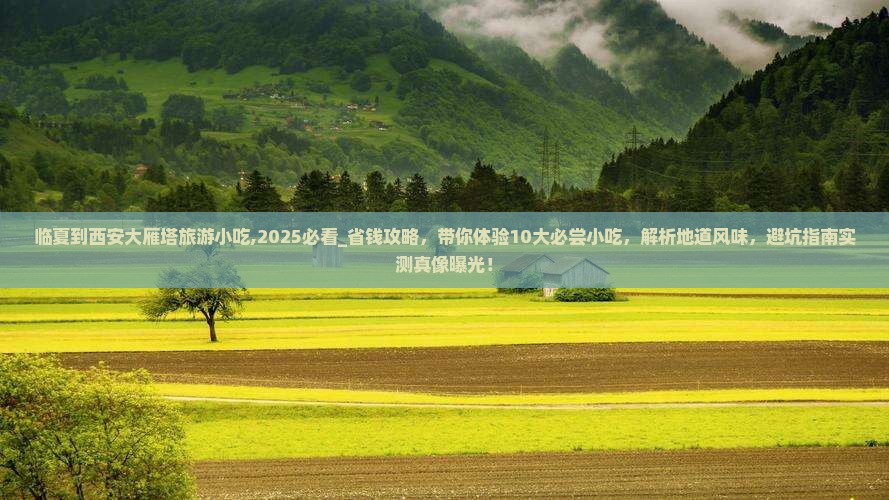 临夏到西安大雁塔旅游小吃