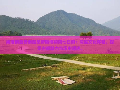 果洛到西安秦始皇帝陵博物院七日游
