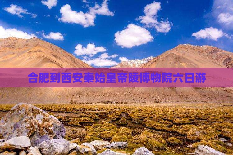 合肥到西安秦始皇帝陵博物院六日游